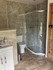 a bathroom with a shower and a toilet at Bayvil - Nevern in Velindre-farchog +22 photos