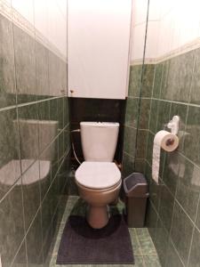 a bathroom with a toilet in a green tiled bathroom at Emvika Tauragė apartment in Tauragė +5 photos