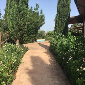 A garden outside Tenuta Saracone