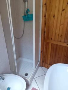a bathroom with a shower with a toilet and a sink at Home Friends in Camigliatello Silano
