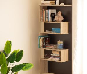 Η βιβλιοθήκη του διαμερίσματος