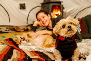 Majutusasutuse Piebald Mountain Pet Friendly Tents, Petersburg, New York külastajatega peatuv lemmikloom või lemmikloomad