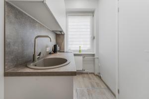 a kitchen with a sink and a window at Centrinis butas šalia senvagės in Panevėžys