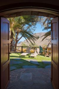an open door to a yard with chairs and a palm tree at Redondo de Guayedra in Guayedra