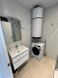 Koupelna v ubytování Estudio Nuevo Amanecer 1