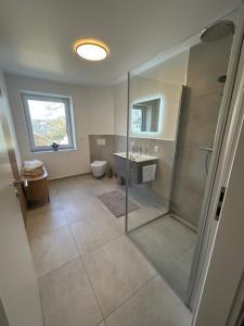 a bathroom with a shower and a sink and a toilet at Mohla-Suite in Köditz +11 photos