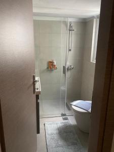 a bathroom with a shower and a toilet at 11studio in Nafplio