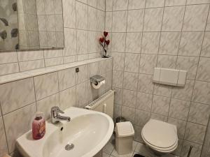 un bagno con lavandino e WC di "Arberblick" im Ferienland Sonnenwald Arberblick a Schöfweg Altre 16 foto