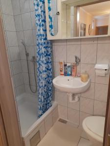 Koupelna v ubytování Apartman Peric