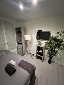 TV a/nebo společenská místnost v ubytování Chambre proximité Bondy-Paris 1-2-3