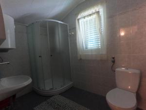 a bathroom with a shower and a toilet and a sink at Apartmani Škrnjug in Brzac