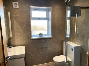 a bathroom with a toilet and a window at Pwyll Holiday Cottage in Pentraeth +4 photos