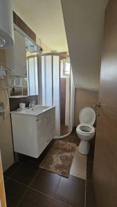 a bathroom with a white toilet and a sink at Vila Dzavric in Zlatibor +28 photos