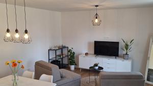 a living room with a couch and a tv at Apartment GA-JA in Ljubljana