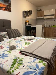 Kuchyň nebo kuchyňský kout v ubytování Studio Apartman Karlo