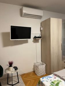 TV a/nebo společenská místnost v ubytování Studio Apartman Karlo