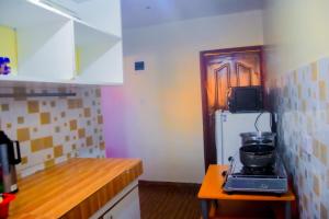 a small kitchen with a stove and a refrigerator at Micasa Homes BnB D1 in Limuru