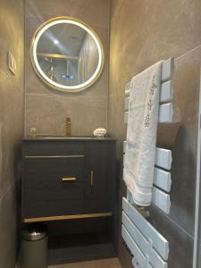 a bathroom with a sink and a mirror at LE LYNX HAUSSMANIEN appartement tout confort, climatisé avec parking privé, à deux pas du centre in Colmar +32 photos