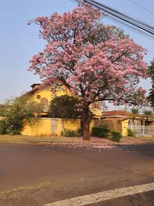 Ảnh trong thư viện ảnh của Pensao do Fabio ở Ribeirão Preto