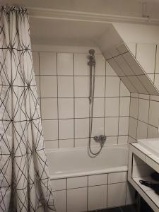 a bathroom with a bath tub with a shower curtain at Ferienwohnungen Ostengasse 22 in Regensburg +67 photos