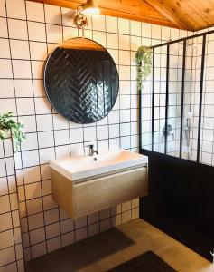 GramsbergenにあるHip Huisje van Houtの洗面台と鏡のあるバスルーム