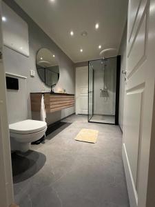 a bathroom with a shower and a toilet and a mirror at Bella Karnes in Oksevik