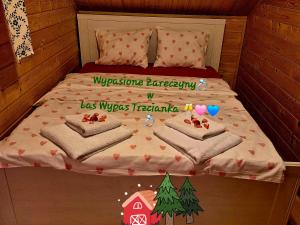Posteľ alebo postele v izbe v ubytovaní Noclegi "LAS WYPAS" Trzcianka