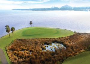 an aerial view of a golf course next to the water at Sandestin Golf and Beach Resort in Destin +8 photos