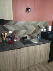 Kuchyň nebo kuchyňský kout v ubytování Cosy Appartement Sainte Anastasie