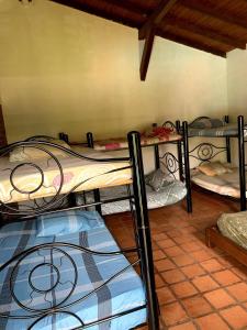 a group of four bunk beds in a room at Finca Luciana in Jamundí