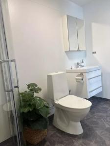 a bathroom with a white toilet and a plant at Bollnäs bed and breakfast in Bollnäs