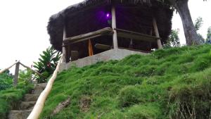 un edificio in cima a una collina erbosa di Mirador Hostal Sierra Nevada Santa Marta a Santa Marta