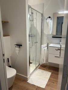 a bathroom with a shower and a toilet and a sink at Studio Hôtel-Restaurant LTB La Table Basque in Biarritz +19 photos