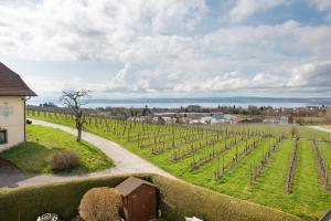 vistas a un viñedo y a una carretera en Ferienwohnung Strobel, en Meersburg