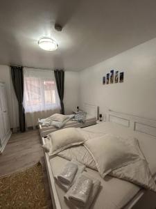 a bedroom with two twin beds in it at Casa Viorica și Luis in Câmpulung Moldovenesc