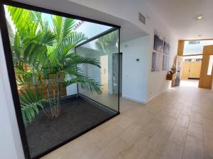 a hallway with a large glass window with a plant in it at Cachito de Cielo in La Victoria de Acentejo