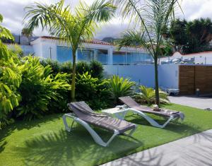 two chairs and a table in a yard with palm trees at Cachito de Cielo in La Victoria de Acentejo