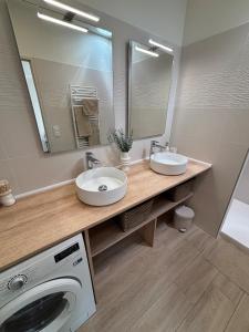 a bathroom with two sinks and a washing machine at Le ST PIERRE, joli T2 entièrement rénové en plein coeur du centre ville in Mâcon +25 photos