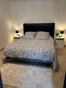 a bedroom with a large bed with two night stands at Le ST PIERRE, joli T2 entièrement rénové en plein coeur du centre ville in Mâcon