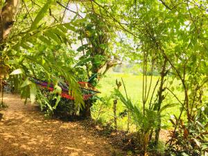 Giardino di Dimuthu Green Villa