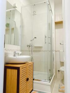 a bathroom with a sink and a shower at Alacaster B apartman in Novi Sad +17 photos