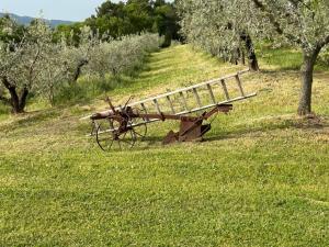 a field with an old fashioned sidx sidx sidx sidx sidx at Agriturismo Colle Bello in Spoleto