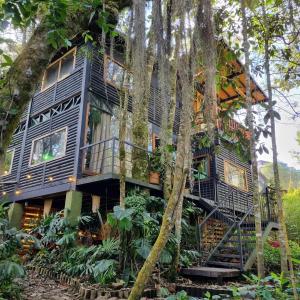 a tree house in the middle of the forest at Mágica Cabaña con jacuzzi en Santa Elena in Santa Elena