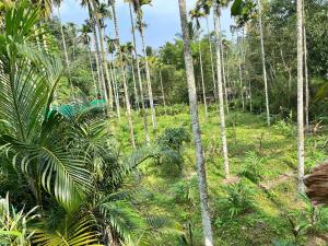 صورة لـ Navaz Kalavara - Holiday Home في Ambalavayal