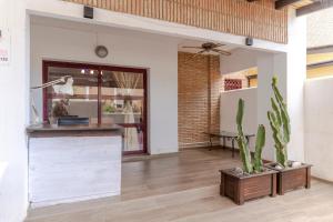 a kitchen with a counter and a cactus at RentitSpain Terrazas del sol, Relax Piscina y Golf in Salobreña