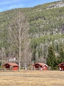 een boom in een veld naast een rode schuur bij Sanda Camping og Hytteutleie in Øvrebø