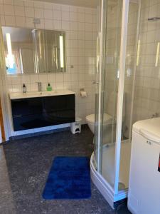 a bathroom with a shower and a sink and a toilet at Leilighet toppetasje, Flekkefjord in Flekkefjord +39 photos