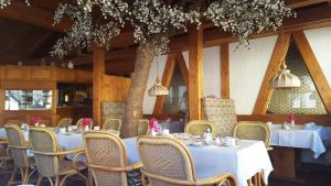 Restaurace v ubytování Meister BÄR HOTEL Bayreuth