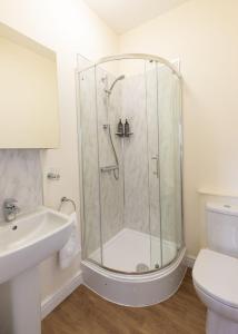 a bathroom with a shower with a sink and a toilet at Bishop Lightfoot Cottage in Bishop Auckland