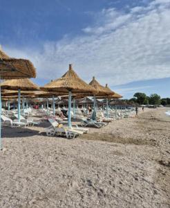 a beach with many straw umbrellas and lounge chairs at My Blaxy apartment in Olimp